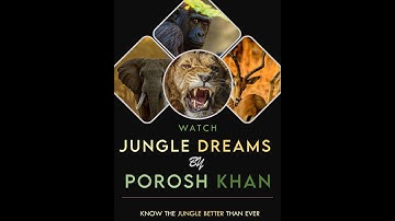 Jungle Dreams Series I Wild Animals I PowerPoint Works I By Porosh