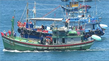 Ghe Lưới Vây Bình Định tăng tốc cực khủng về bến bãi nhỏ