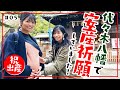 【安産祈願】代々木八幡にパワーを貰ってきました!【神頼み】
