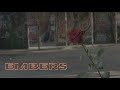 Viridescent Embers Official Music Video mp3