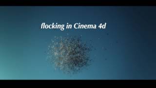 arnold  render flocking Maxon Cinema 4d