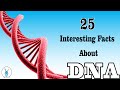 25 Interesting Facts About DNA