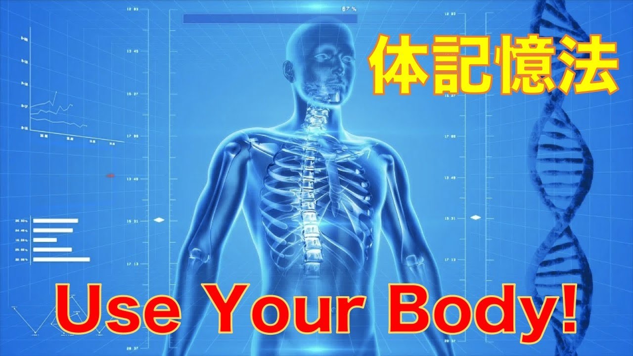 【体を使って覚えよう！】体記憶法