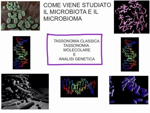 Video: Verso Una Tassonomia Più Molecolare Della Malattia