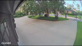 Police working to identify mail theft suspects