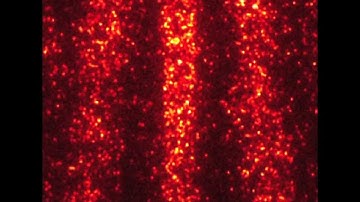 Quantum movie reveals single molecules