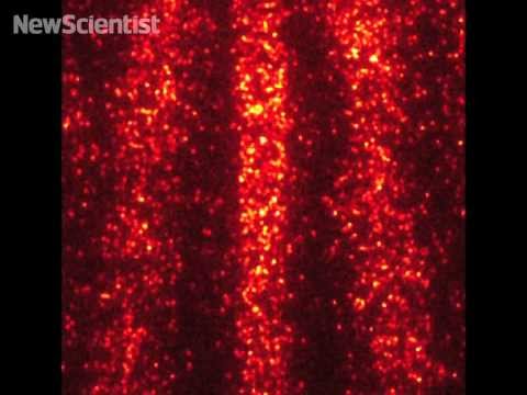 Quantum movie reveals single molecules