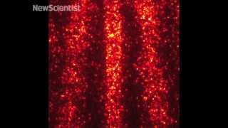 Quantum movie reveals single molecules Quantum movie reveals single molecules