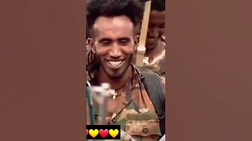 TDF ሀወይ Shorts Tigray Tigraymusic Tigraytiktok Debretsion Tigraynews Tmh Eregnaye Dwnews 