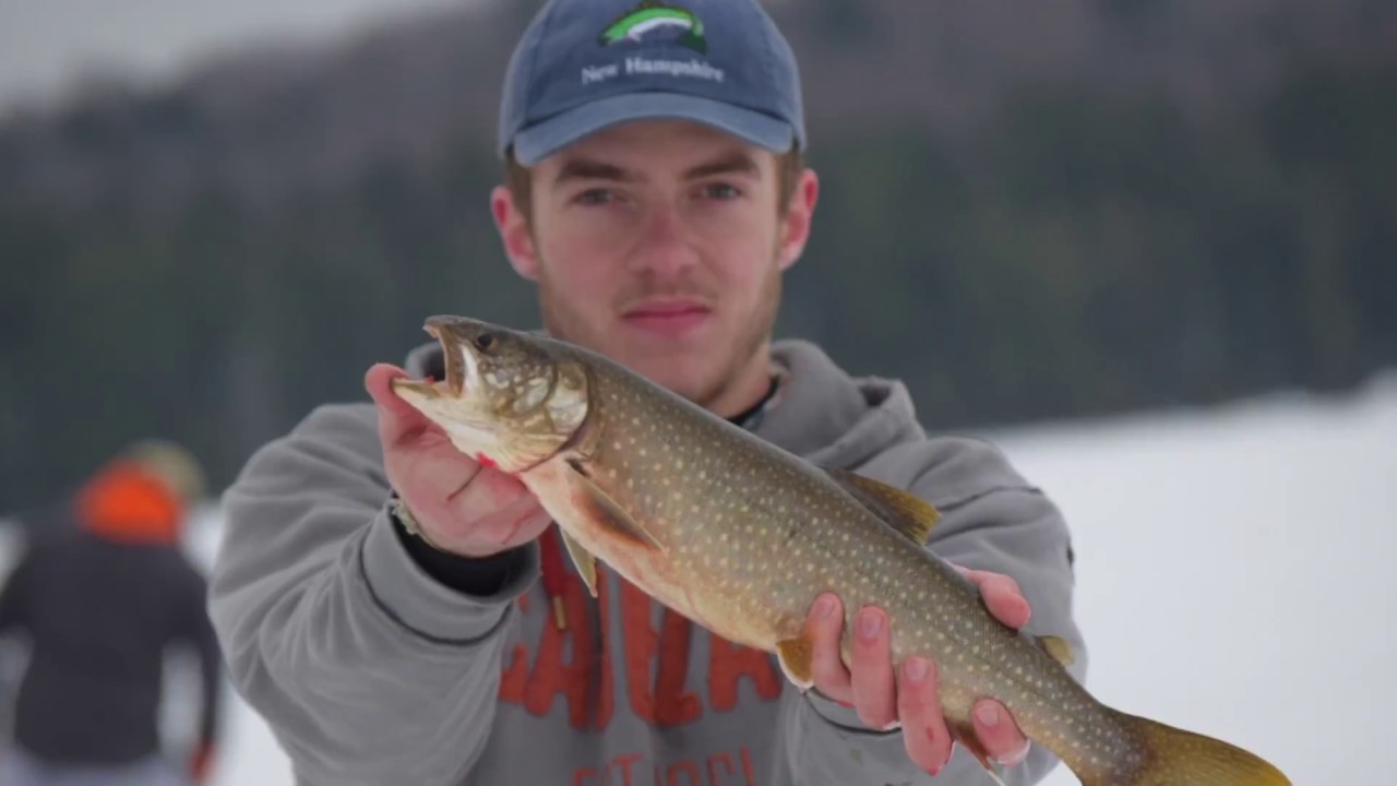 Maine Salmon and Togue Fishing YouTube