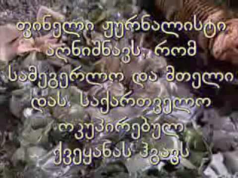 საქართველოს მოღალატე პუჩისტების ანატომია.1992 წლის