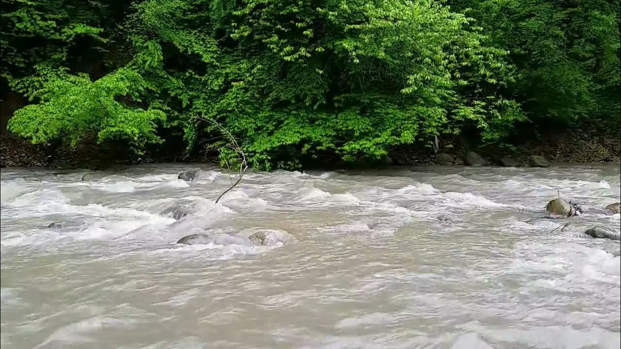 Реку реку звучание