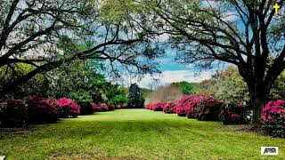 Best of Jimmy Swaggart Live 8 (2006)