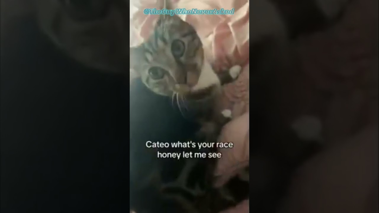 stupid memes part 13 