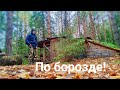 Всё пошло по борозде! Таёжная осень и её дары. Очередная годовщина за плечами! Белые грибы.