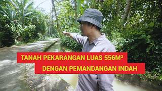 556m² Large Yard Land with Beautiful Rice Field Views Near Culinary Tourism \u0026 Villas