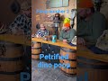 #Poop #2.  #comedy #hardrock #country #show #Coprolite
