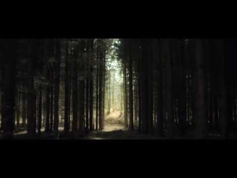 ფანტაზია ფა# მინორი / Fantasy in F# minor