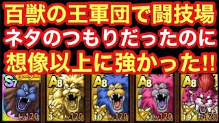 【ドラクエタクト】百獣の王軍団で闘技場！ネタのつもりが想像以上に強くて楽しい！！