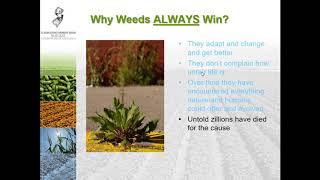 Rutgers Vegetable IPM Program: Tools for Weed Identification and Integrated Management