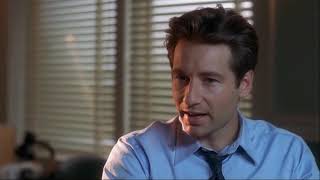 Will Tooms appear again this year 2023