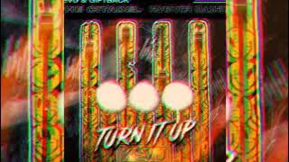 KEVU vs. Swedish House Mafia - Libertalia vs. Don't You Worry Child vs. Turp It Up (Hardviër Mashup)