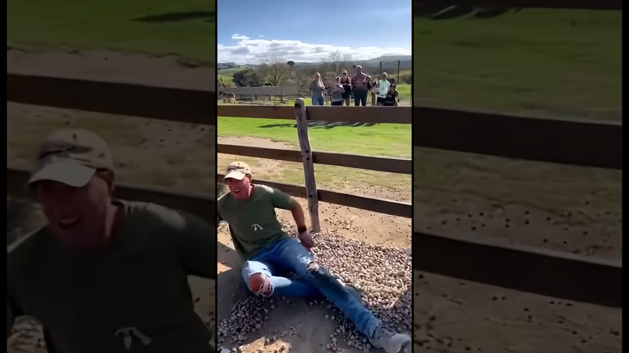 Never Underestimate a Kangaroo 