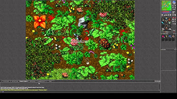 [TibiaTome] Just random midnight panther tame with leather whip