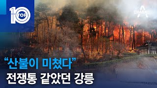 “산불이 미쳤다”…전쟁통 같았던 강릉 | 뉴스TOP 10