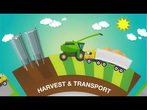 SEEDCARE World –