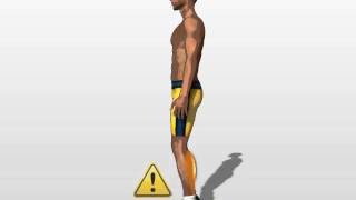 Ushtrime Per Kemb  2