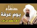 دعاء يوم عرفة للشيخ عبد الرحمن السديس ردده الان تصب عليك الارزاق ويأتيك الفرج بإذن الله 