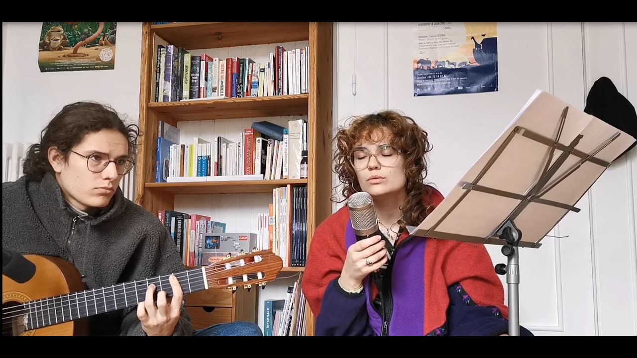 Insensatez - A.C. Jobim / Joao Gilberto (cover ft. mon frère)