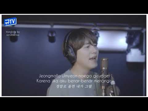 Hee Jae (Sung Si Kyung) - Kyuhyun cover