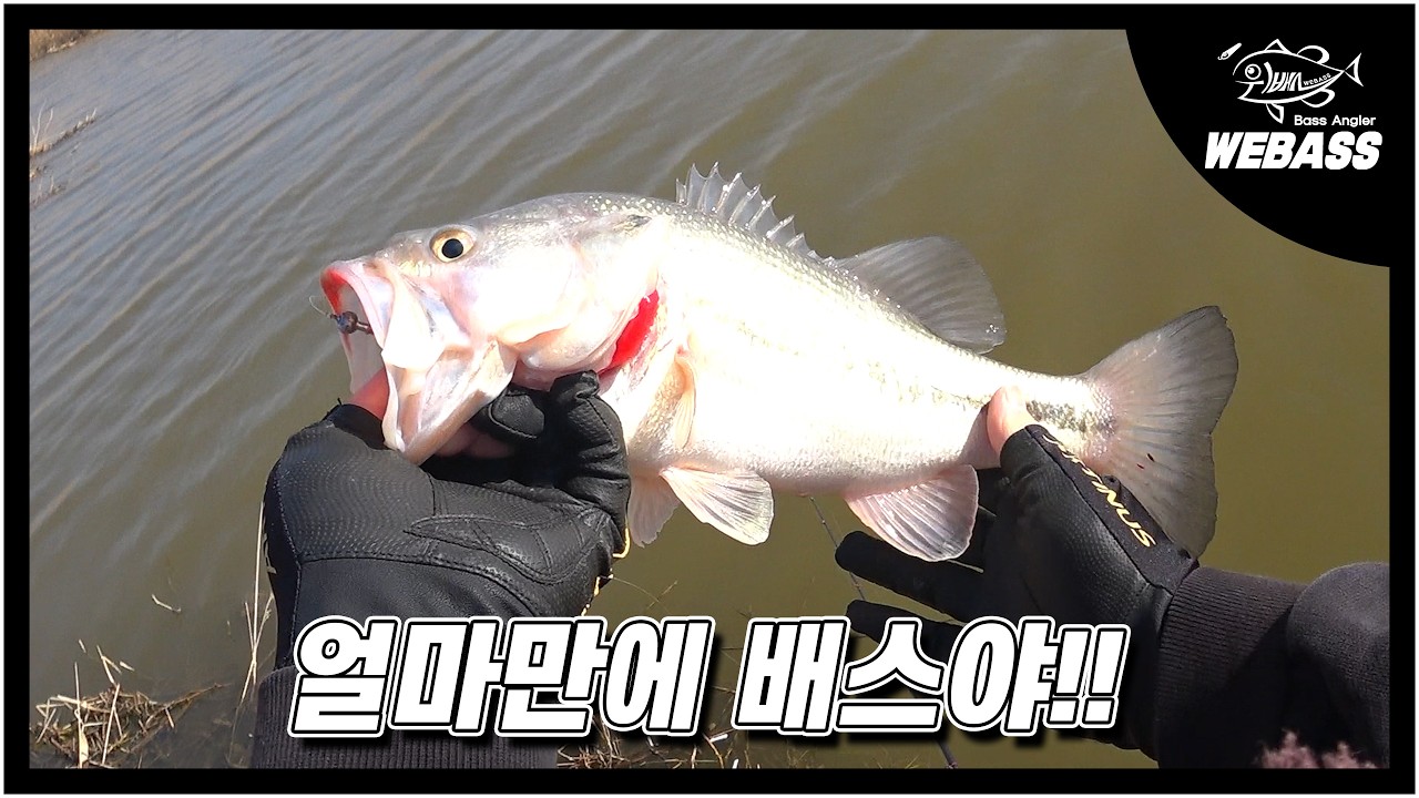 [배스낚시] 봄 배스가 슬슬 움직이려나 봅니다 Ep.240