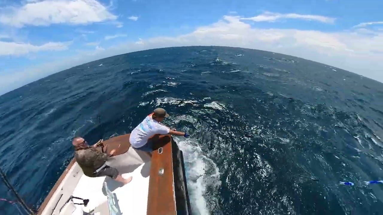 Sailfish Catch - Boat Builders Tournament 2023