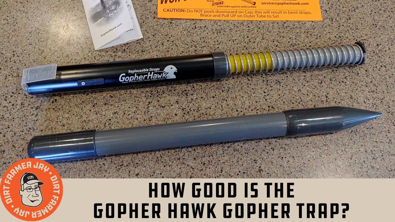 How Good is the Gopher Hawk Gopher Trap? YouTube