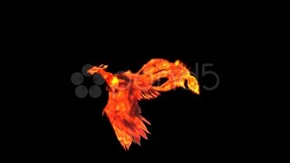 Burning Phoenix Animation With Alpha. Stock Footage