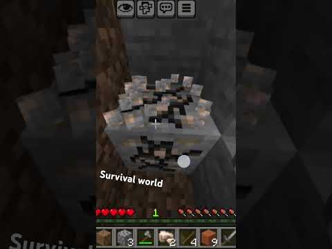 my new survival