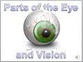 Eye Anatomy and Function Assessment