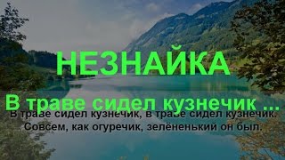 В траве сидел кузнечик,  Незнайка