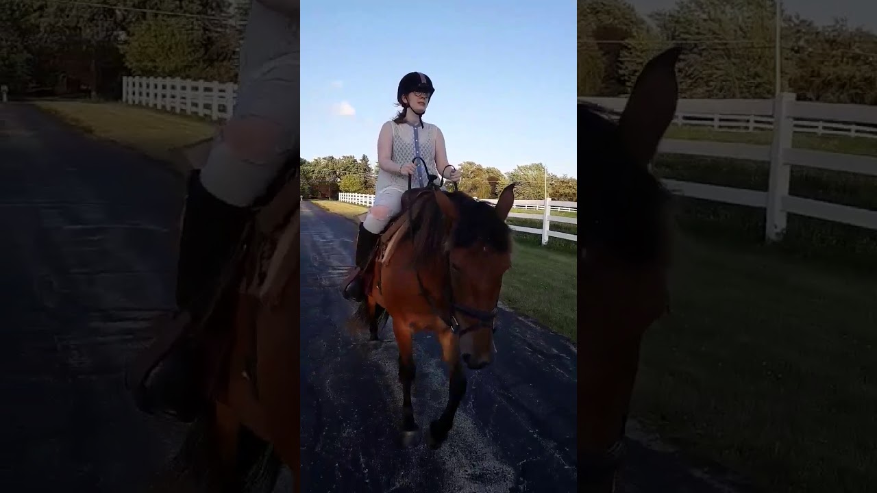 camera iphone 8 plus apk Riding lesson