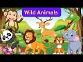 Wild Animals With Sound Effects/Real Animals Sound Effects/Zoo Adventures/Best Kids Videos