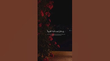 وَءَاتَىٰكُم مِّن كُلِّ مَا سَأَلۡتُمُوهُۚ | سورة إبراهيم | محمد صديق المنشاوي