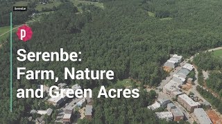 Serenbe: Farm, Nature and Green Acres