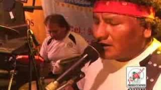 Video thumbnail of "Maroyu 2008 en Peru - lunita dame platita"