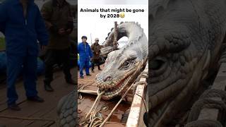 Animals that might be gone by 2028😳 #animals #pets #viral #ytshorts #wildlife