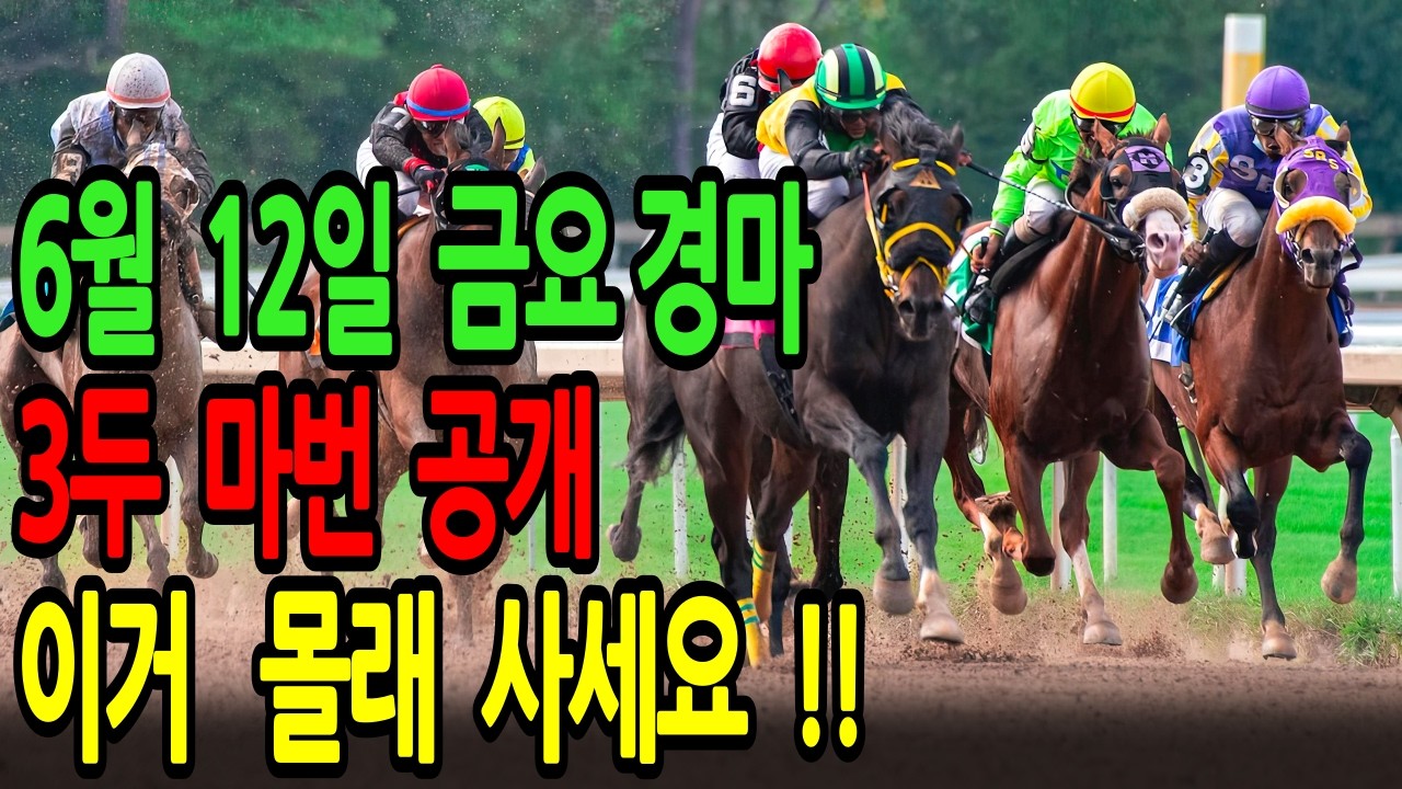 6월 12일 금요일 경마~저라면 무조건 이 복병마 챙겨서 대박 배당 잡습니다    ㅣ승전경마 전문가의 이변 포착 l 경마 l 경마예상 l 코리아레이스 l 검빛경마 ㅣ경마정보