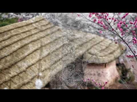 사랑이 올까요 -백지영