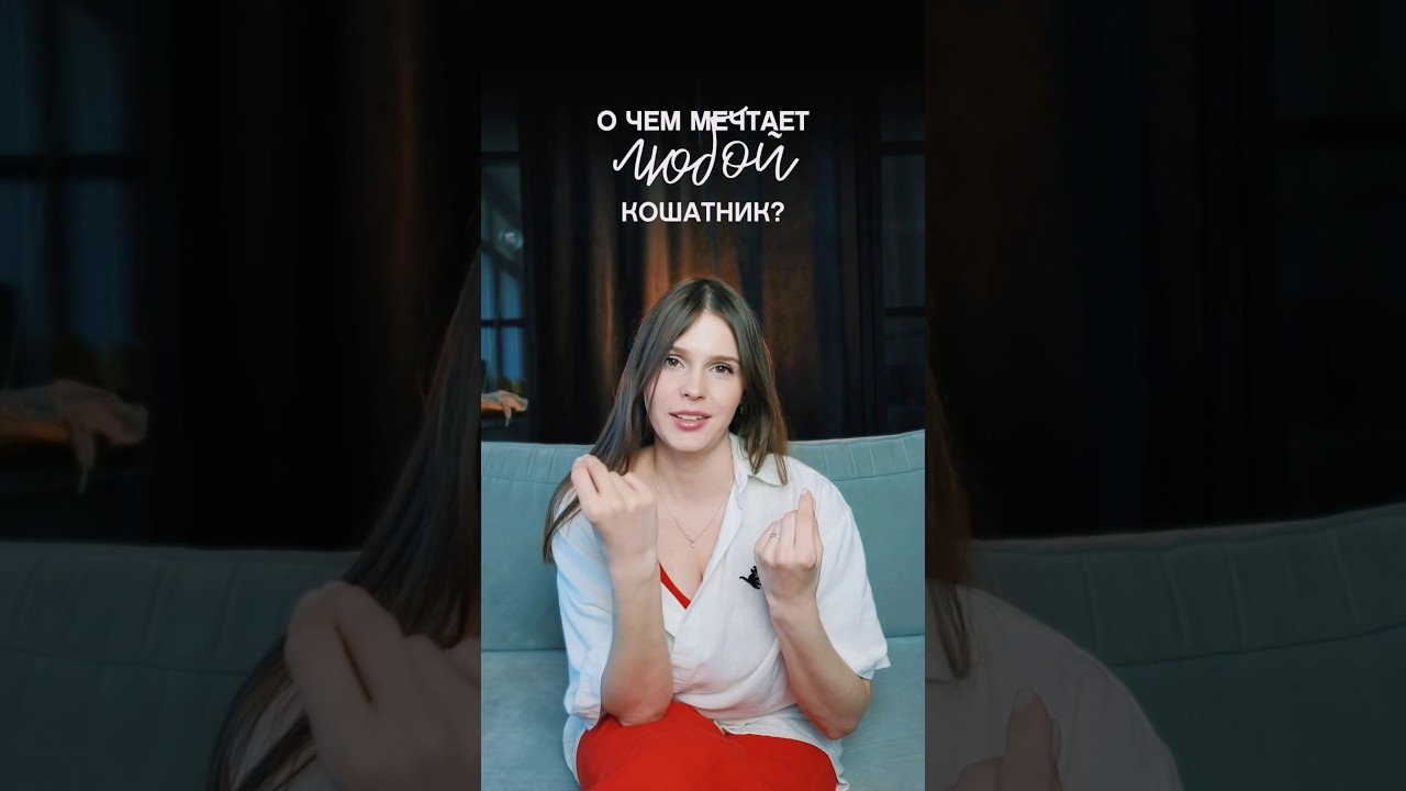 Забрать список подарков в моем тг канале «Настя и кошачьи истории» @vasiljevanastya #котики